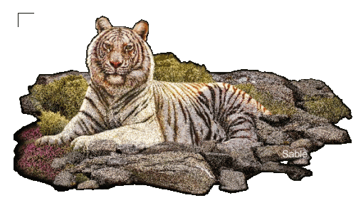 animated tiger image 0054