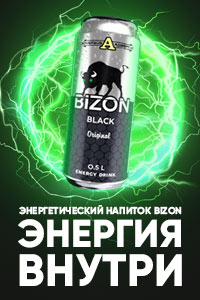 bizon_energy.jpg