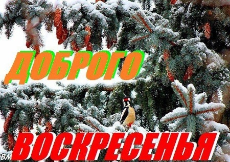 https://kvotka.ru/images/2020/12/13/7.jpg