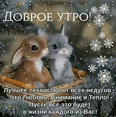 https://kvotka.ru/images/2020/12/14/1.jpg