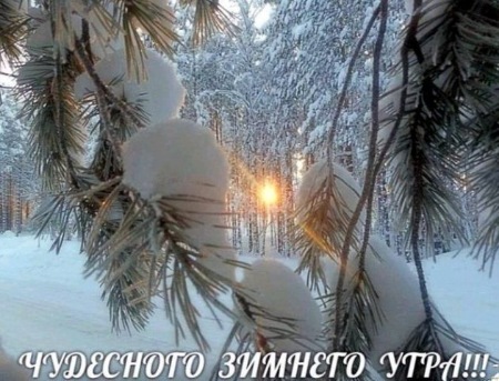 https://kvotka.ru/images/2020/12/22/c53143998a0e.jpg
