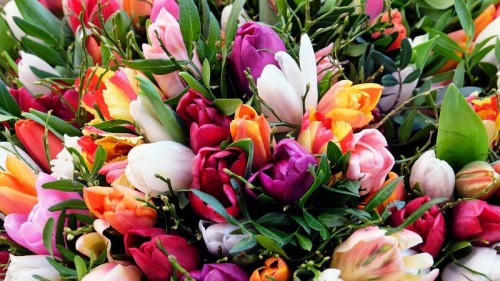 tulips flowers bouquet 108088 1366x768
