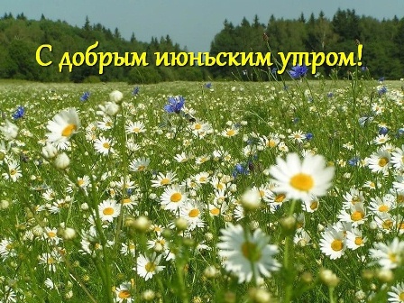 https://kvotka.ru/images/2021/06/12/O6VnsGumTak.jpg