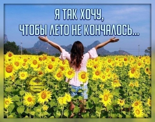 https://kvotka.ru/images/2021/08/22/TlINWarlKS8.md.jpg