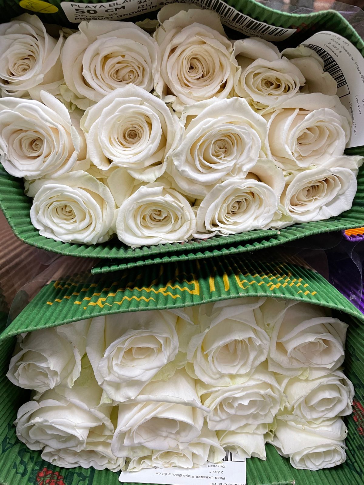 плайя бланка роза эквадор