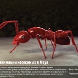 Creating-Procedural-Animation-for-an-Insect-in-Maya