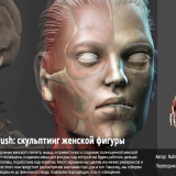 Female-Anatomy-Sculpting-in-Zbrush