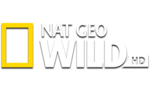 NAT-GEO-WILD-IL.png