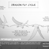 2D-Animation-Animate-Flying-Creatures