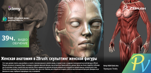 1365.Udemy-Female-Anatomy-Sculpting-in-Zbrush.png