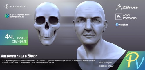Digital-Tutors-Understanding-Facial-Anatomy-in-ZBrush.jpg