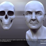 Digital-Tutors-Understanding-Facial-Anatomy-in-ZBrush