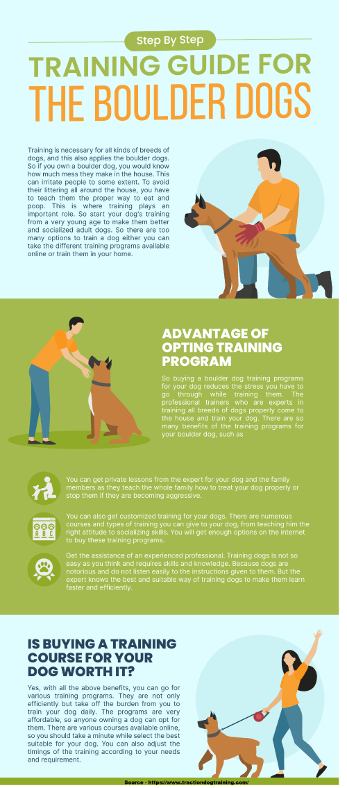 Looking for a way to keep your dog safe and healthy while you're away? Look no further than our dog trainer boulder co! Our experienced professionals will help you train your dog so that he or she stays in control and safe while you're away. From basic obedience training to more advanced obedience work, we can help make your trip to boulder Co successful Visit here: https://www.tractiondogtraining.com/