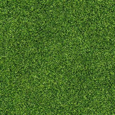 grass-3.jpg