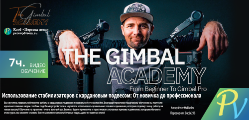 3810.[The Gimbal Academy] From Beginner To Gimbal Pro