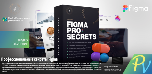3842.[Alexander Hess] Figma Pro Secrets