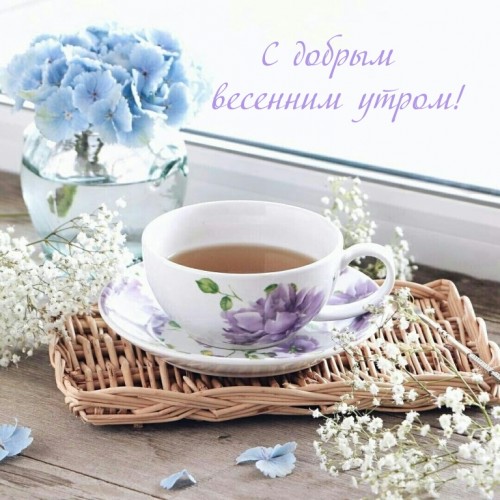 dobrogoutra_ru_7338.jpg